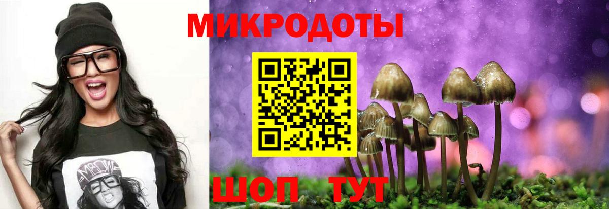 Усть-Джегута  Галлюциногенные грибы MAGIC MUSHROOMS  Вход с VPN 